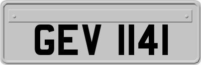 GEV1141