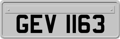 GEV1163