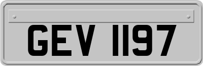 GEV1197