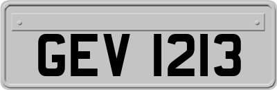 GEV1213