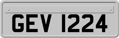 GEV1224