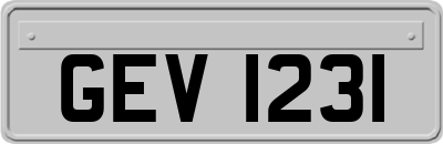 GEV1231