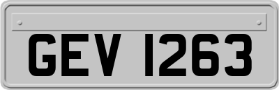 GEV1263