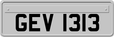 GEV1313