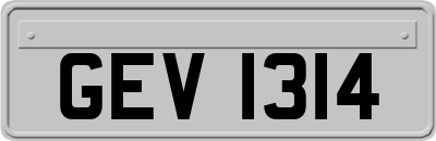 GEV1314