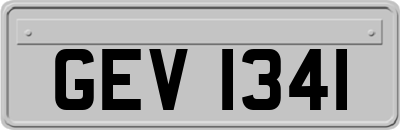 GEV1341