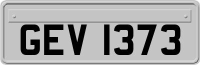 GEV1373