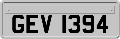 GEV1394