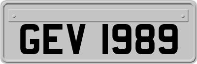 GEV1989