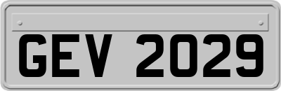 GEV2029