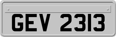 GEV2313