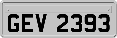 GEV2393