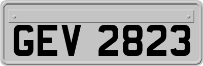 GEV2823
