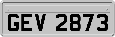 GEV2873