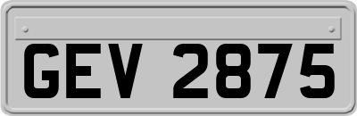 GEV2875