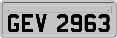 GEV2963