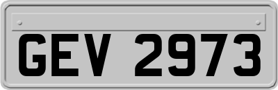 GEV2973