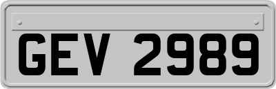 GEV2989