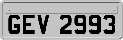 GEV2993