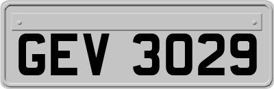 GEV3029