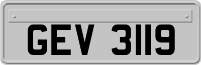 GEV3119