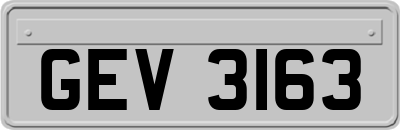 GEV3163