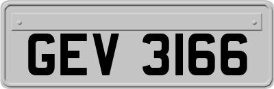 GEV3166
