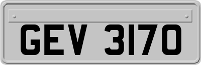 GEV3170