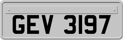 GEV3197