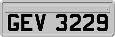 GEV3229