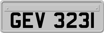 GEV3231