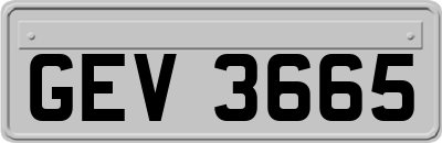 GEV3665