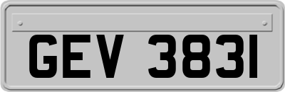 GEV3831