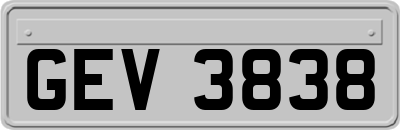 GEV3838