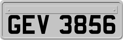 GEV3856