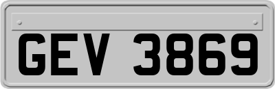 GEV3869