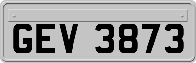 GEV3873