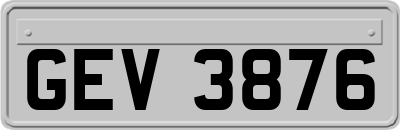 GEV3876