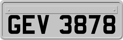 GEV3878