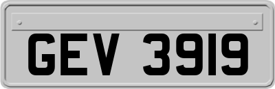 GEV3919
