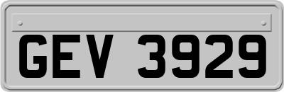 GEV3929