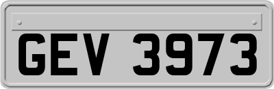 GEV3973