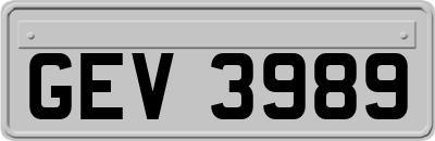 GEV3989