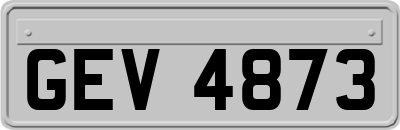 GEV4873