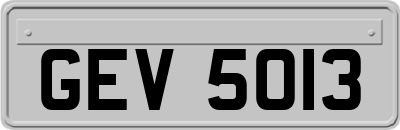GEV5013