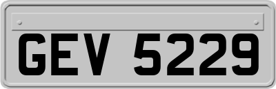 GEV5229