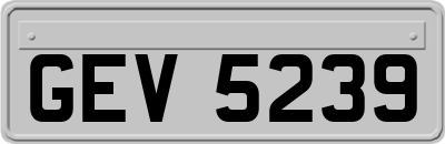 GEV5239