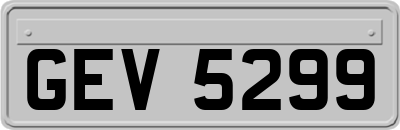 GEV5299
