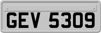 GEV5309
