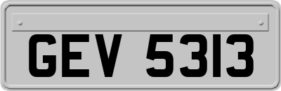 GEV5313